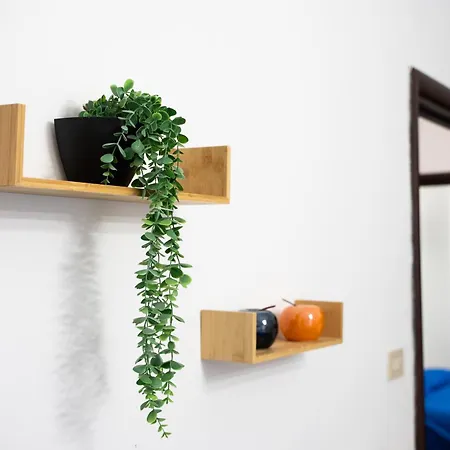 Apartment Optima Mansio *