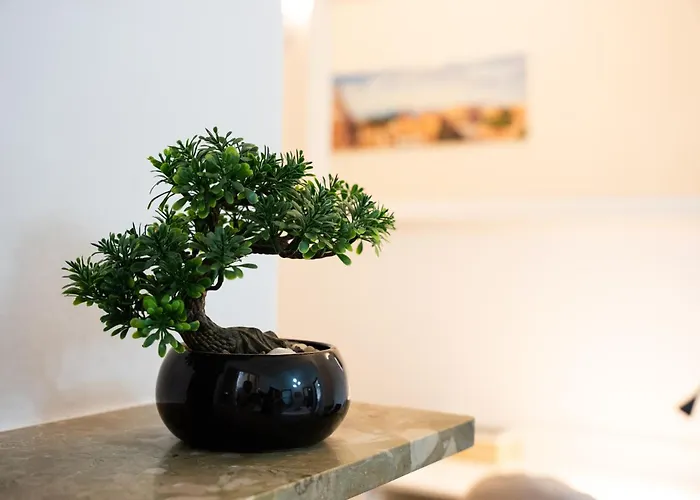 Optima Mansio * Рим